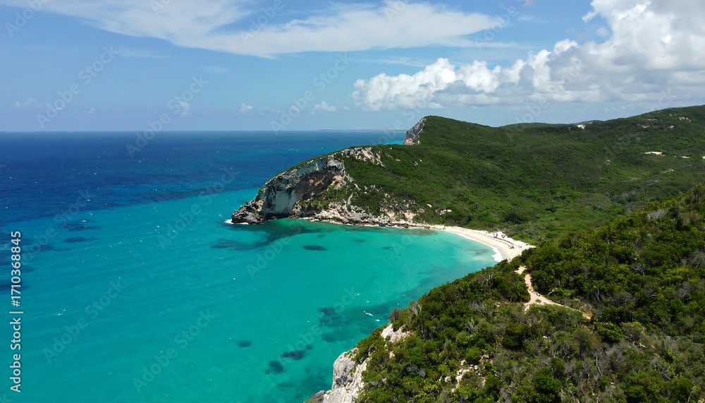 Obraz premium A breathtaking coastal view of a secluded bay, surrounded by lush green hills and a vibrant turquoise ocean.