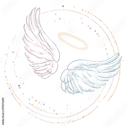 Ali delicate stilizzate, illustrazioni vettoriali, design astratto