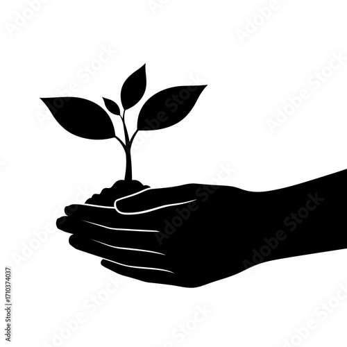 Illustration of Hands Holding a Sprout