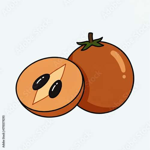 Illustration of a whole and halved sapodilla fruit, showcasing its brown skin and seeds
