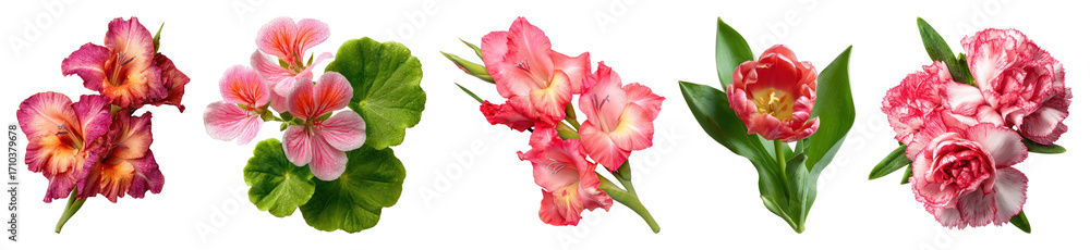 Fototapeta premium Vibrant floral arrangement variety