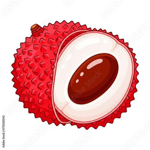 Vibrant red lychee fruit illustration, featuring a whole fruit with bumpy skin and a sliced half showing its translucent pulp and stone
