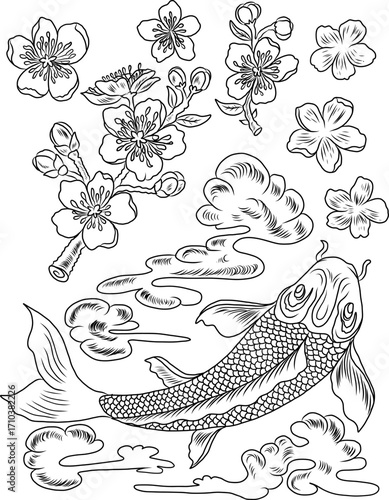 vector illustration of Japanese koi fish tattoo style drawing. Japanese background. tattoo koi fish design. hand drawn outline koi fish and Chinese doodle art. Peony, Cherry blossom and lotus vector.