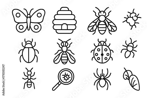 Insect icon collection. Simple bug line icons set. Editable stroke. Bee, butterfly, ant, spider, ladybug, beetle. Vector outline symbols for web, infographic, logo design.