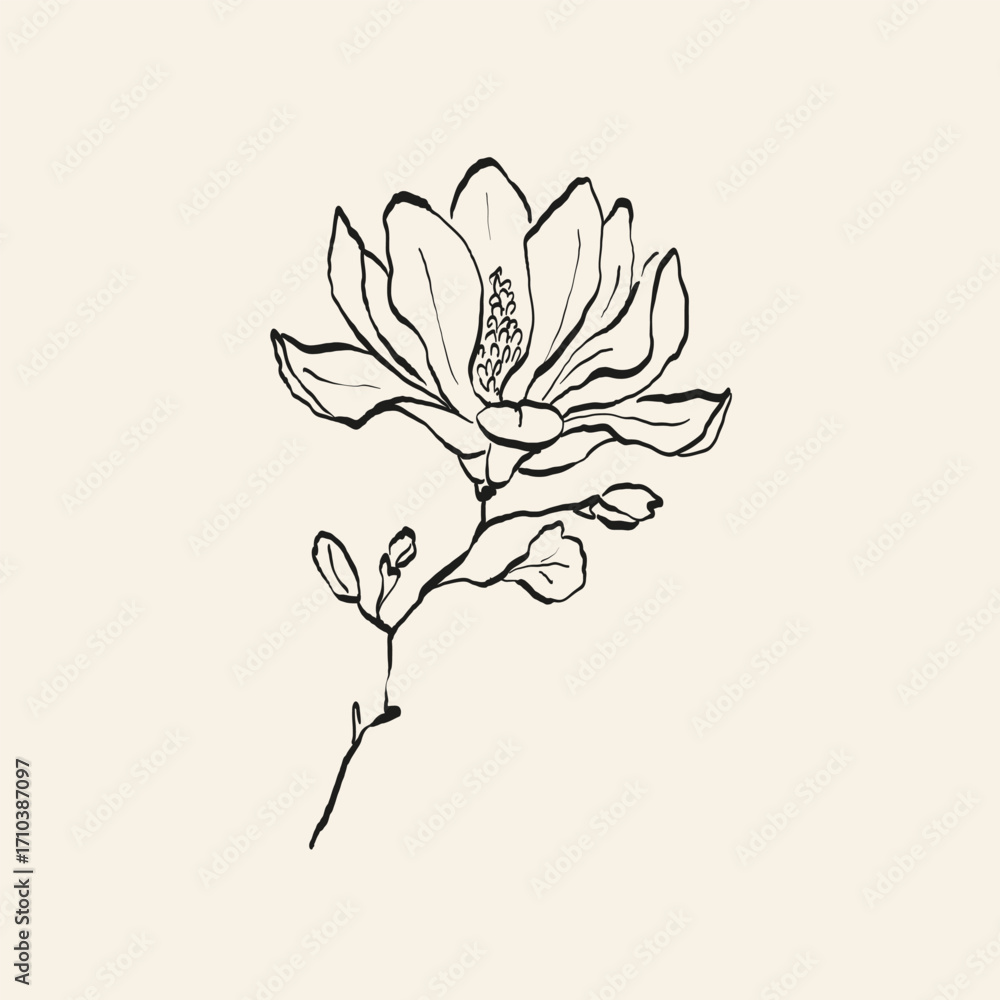 Obraz premium Botanical drawing. Minimal plant logo, botanical graphic sketch drawing, meadow greenery, leaf and blooming flower abstract sketch element collection, rustic branch. Trendy tiny tattoo design, floral