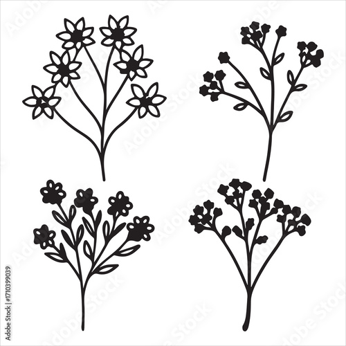 A Delicate and Airy Baby's Breath Flower, a Cloudlike and Purity Filler Flower that Symbolizes Innocence and Everlastinglove
