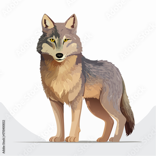 A realistic vector illustration of a majestic gray wolf standing strong. This wild canine features detailed fur texture and is isolated on a clean white background