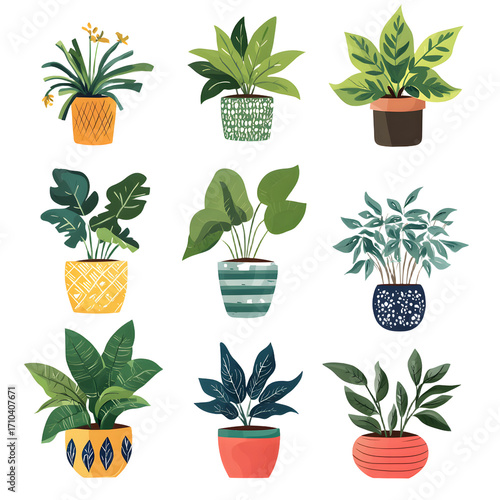 Vibrant Houseplant Collection in Diverse Pots for Interior Decor Inspiration