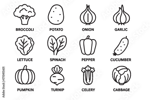 Vegetable Icon Set with Names in Outline Style