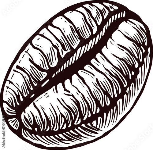 Hand drawn roasted coffee bean isolated on white background vintage engraved etching illustration