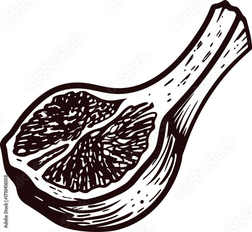 Hand drawn lamb chop illustration vintage engraved meat cut with bone isolated on white background