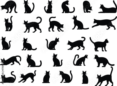 Cat silhouettes, black cats, feline poses, animal icons, vector grid, sitting cat, walking cat, jumping cat, grooming cat, pet illustration