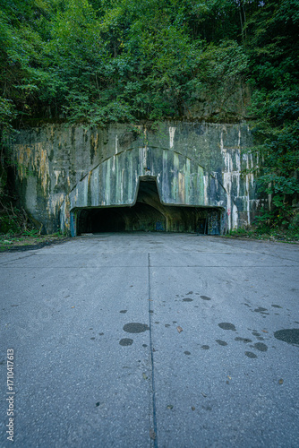 Zeljava Airbase abandoned military tunnel entrance in Croatia built into rocky hillside with concrete facade surrounded by dense forest and greenery