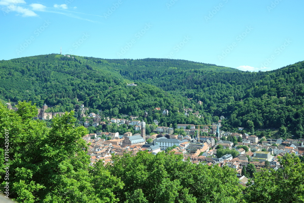Obraz premium Urban forest transition in Heidelberg landscape