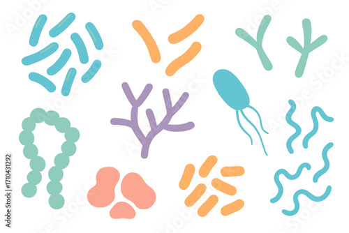 Probiotic bacteria vector set. Gut microbiota with healthy prebiotic microorganisms. Lactobacillus, bacillus, streptococcus, bifidobacteria. Science icons for biotechnology.