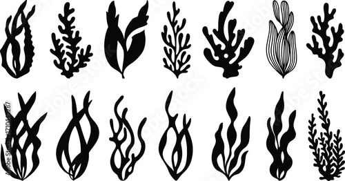 Seaweed Silhouette Vector CAD, Flat Underwater Plant Sketch, Ocean Botanical Illustration, Marine Algae Drawing, Aquatic Nature Design