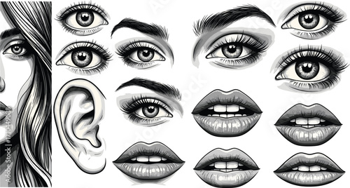 Realistic eyes, lips, ear and face elements sketch style set, vector illustration