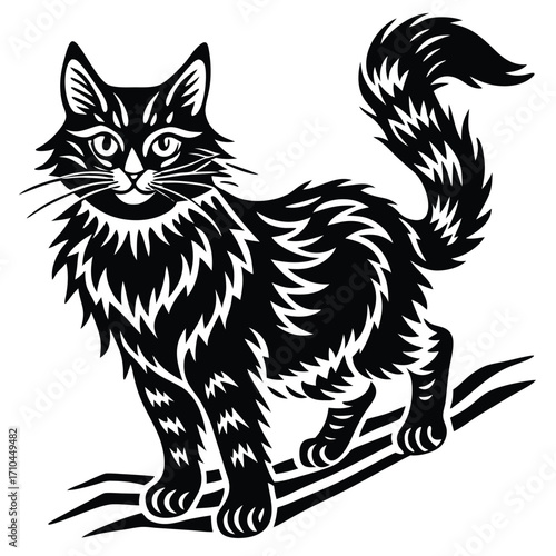 cat and dog