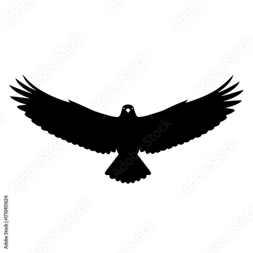 Soaring eagle silhouette with spread wings