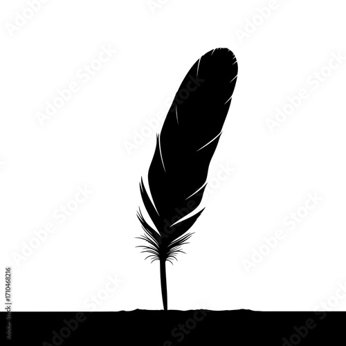 feather isolated on white