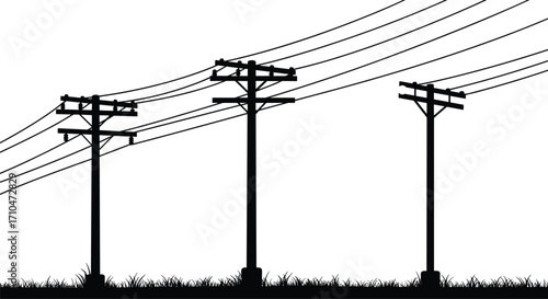 Utility pole silhouette, power line tension, rural infrastructure, electric grid design, black and white contrast, outdoor wires, minimalist industrial art