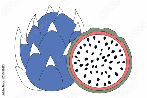 vector illustration of a dragon