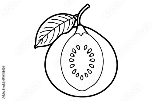 vector illustration of an guava