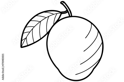 illustration of mango