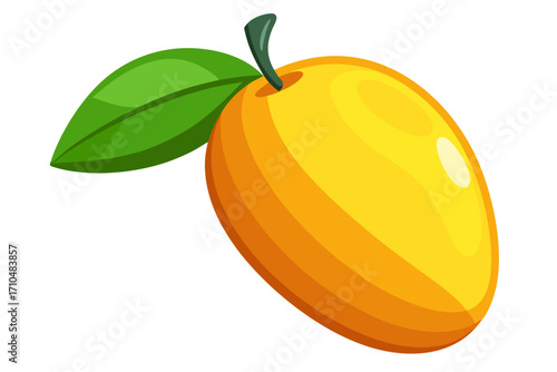 vector illustration of an mango