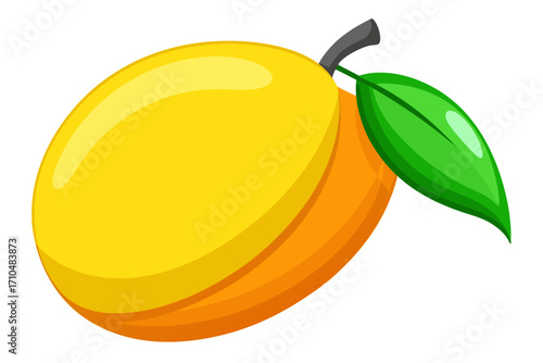 vector illustration of mango fruit