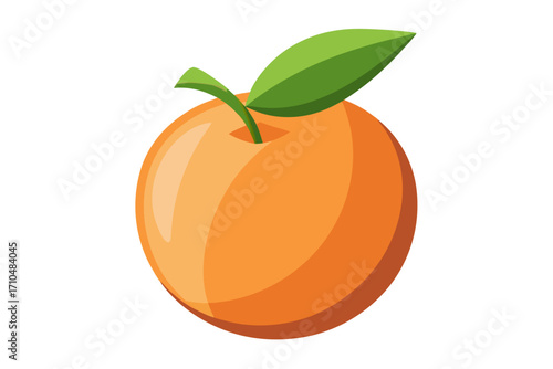 orange fruit vector illustration