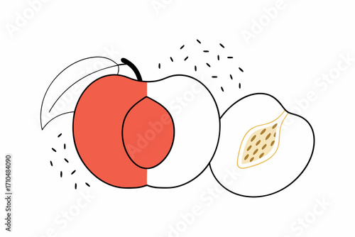 illustration of a peach