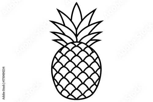 pineapple vector illustration