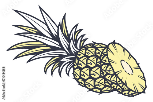 pineapple vector illustration