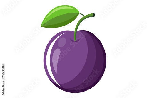 vector illustration of an plum