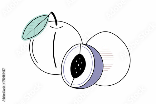 vector illustration of an plum