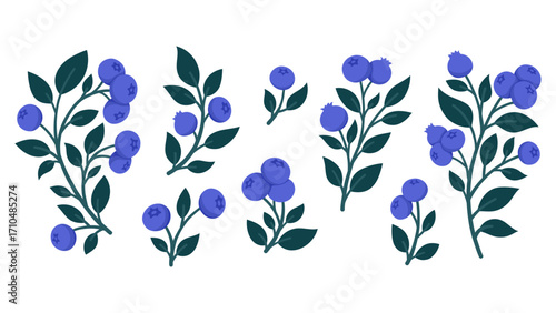Set of Hand Drawn Blueberry Branches with Ripe Berries and Leaves. Cute Botanical Illustrations for Packaging, Kitchen Decor, Stickers, Labels, Logos, Farmers Market or Food Branding
