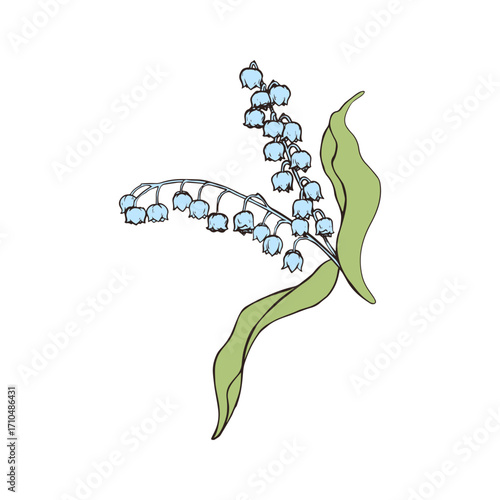 Delicate lily of the valley blossoms with graceful green leaves, evoking spring purity and natural elegance