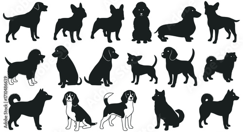 Collection of various dog breed silhouettes in different poses isolated on white background