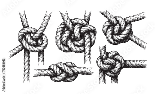 Set of Rope Knots Hand-Drawn Illustration
