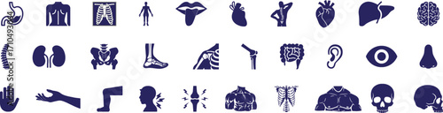 Human organ and body parts icons set. Vector illustration of body organs, bone, skeleton, spine, eye, ear, nose, mouth, lips, hand, foot, stomach, kidneys, bladder, blue sign