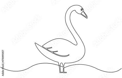 Continuous one line drawing of mute swan.
