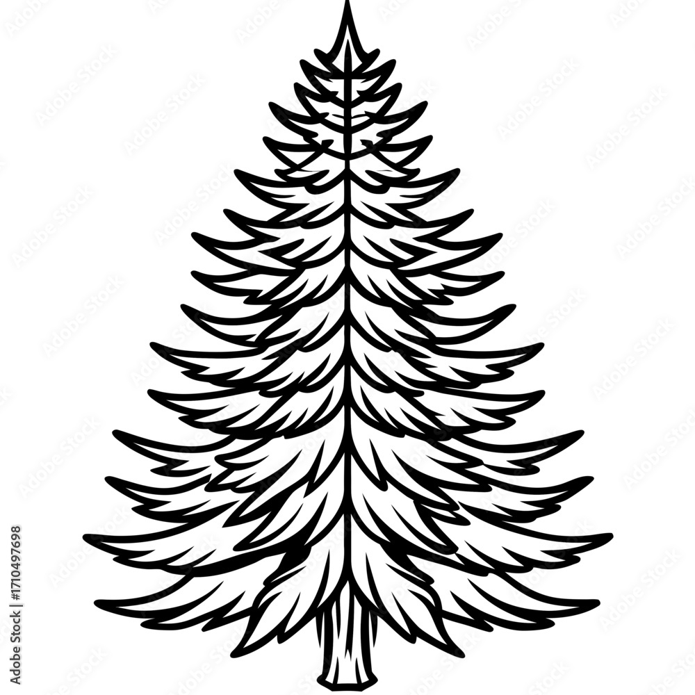 Fototapeta premium Douglas‑fir line art vector
