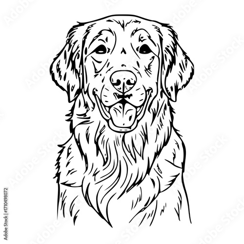 dog outline realistic golden retriever head drawing