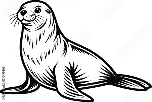 Aquatic Mammals Underwater Scene. Whale and Dolphin Ocean Life. Manatee and Dugong Sea Animals. Seal and Sea Lion Wildlife Art. Orca and Killer Whale Design. Marine Mammals Swimming Pose. Humpback