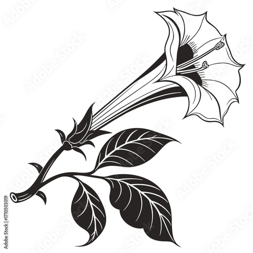 datura double purple with leaves