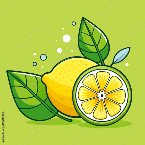 Fresh citrus fruits with mint leaves and orange slices, a tasty and healthy illustration