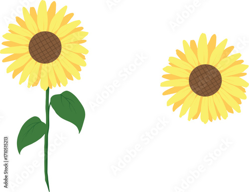 sunflower simple digital art clipart floral art