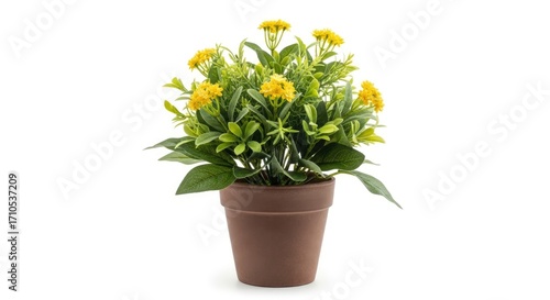 Wallpaper Mural Potted plant with yellow flowers  green leaves brown pot bright light Torontodigital.ca