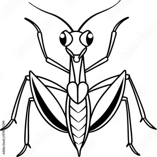 Praying mantis line art vector